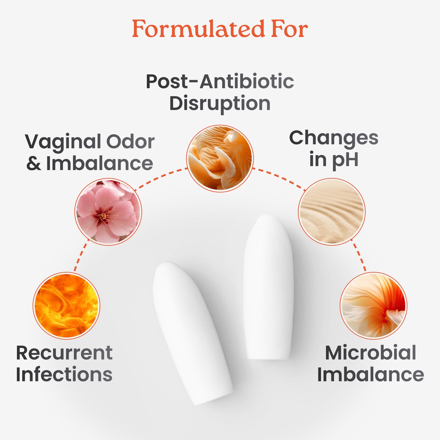Probiotic Inserts with FOS and Lactic Acid