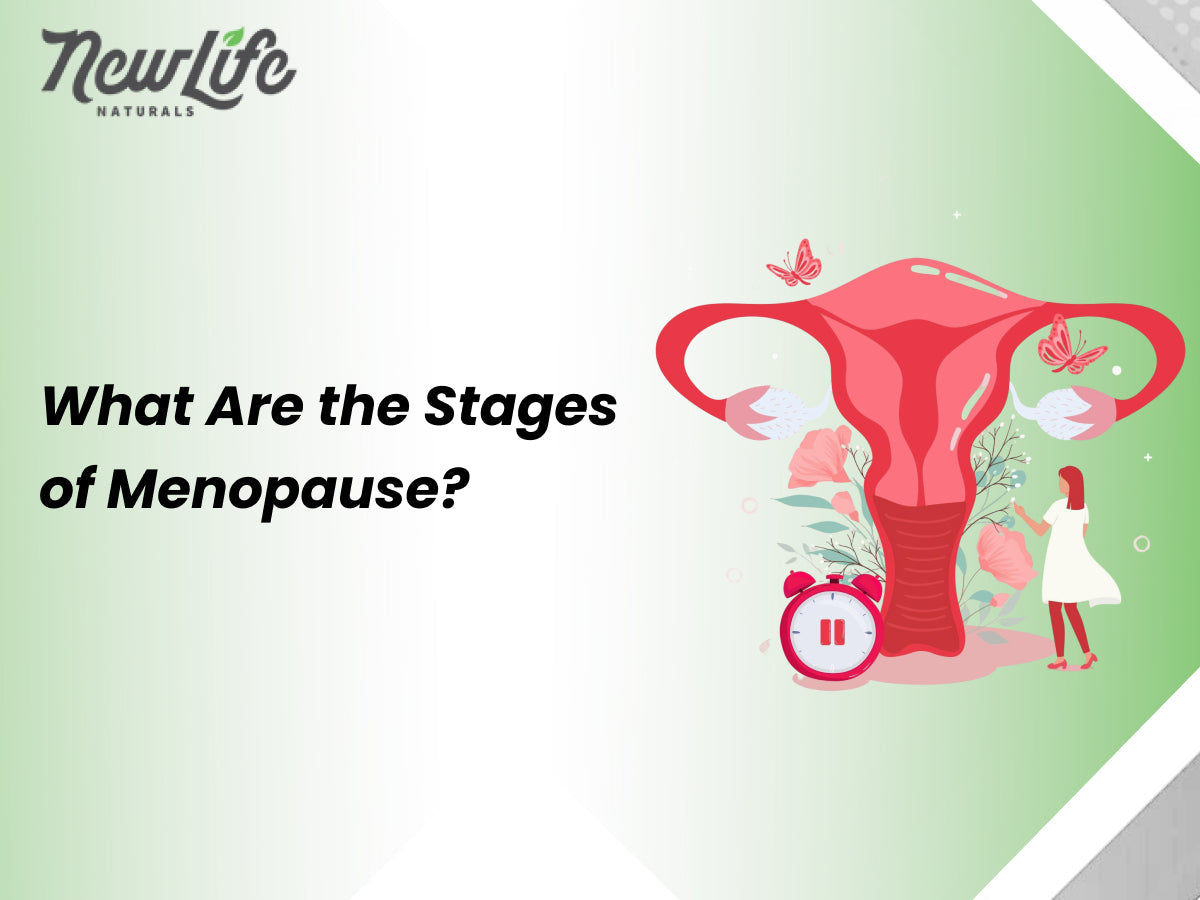 What Are the Stages of Menopause? | New Life Naturals – NewLife Naturals