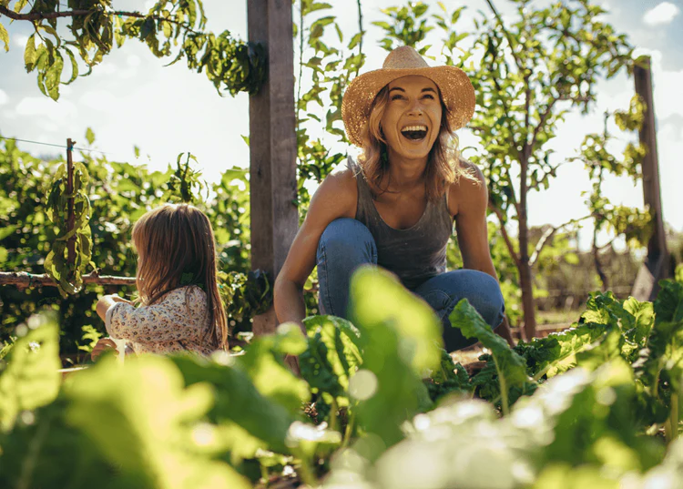 Can Citrus Bergamot Transform Your Health Naturally