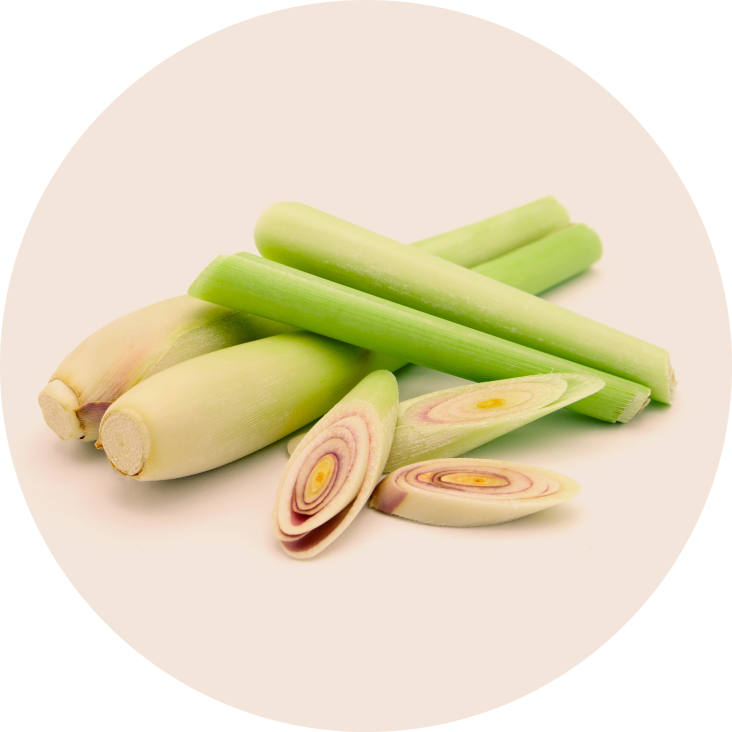 Lemongrass