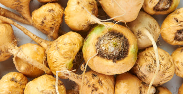 Maca Root Powder, Organic