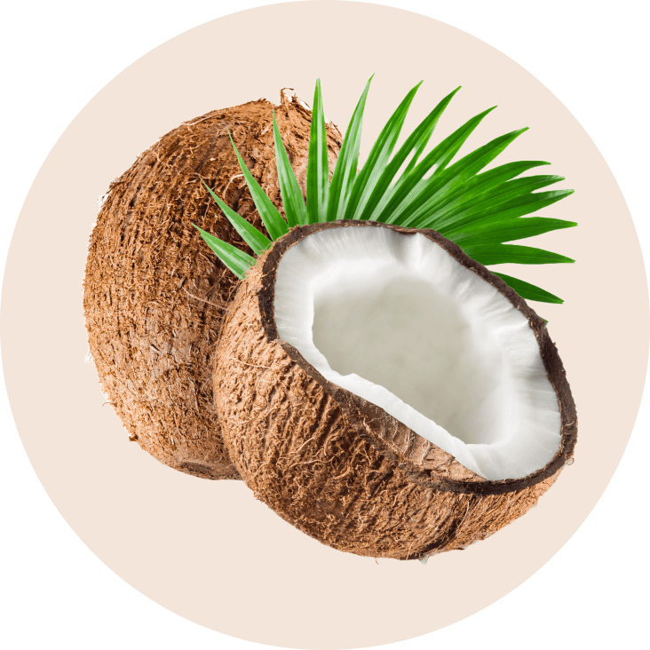 Coconut