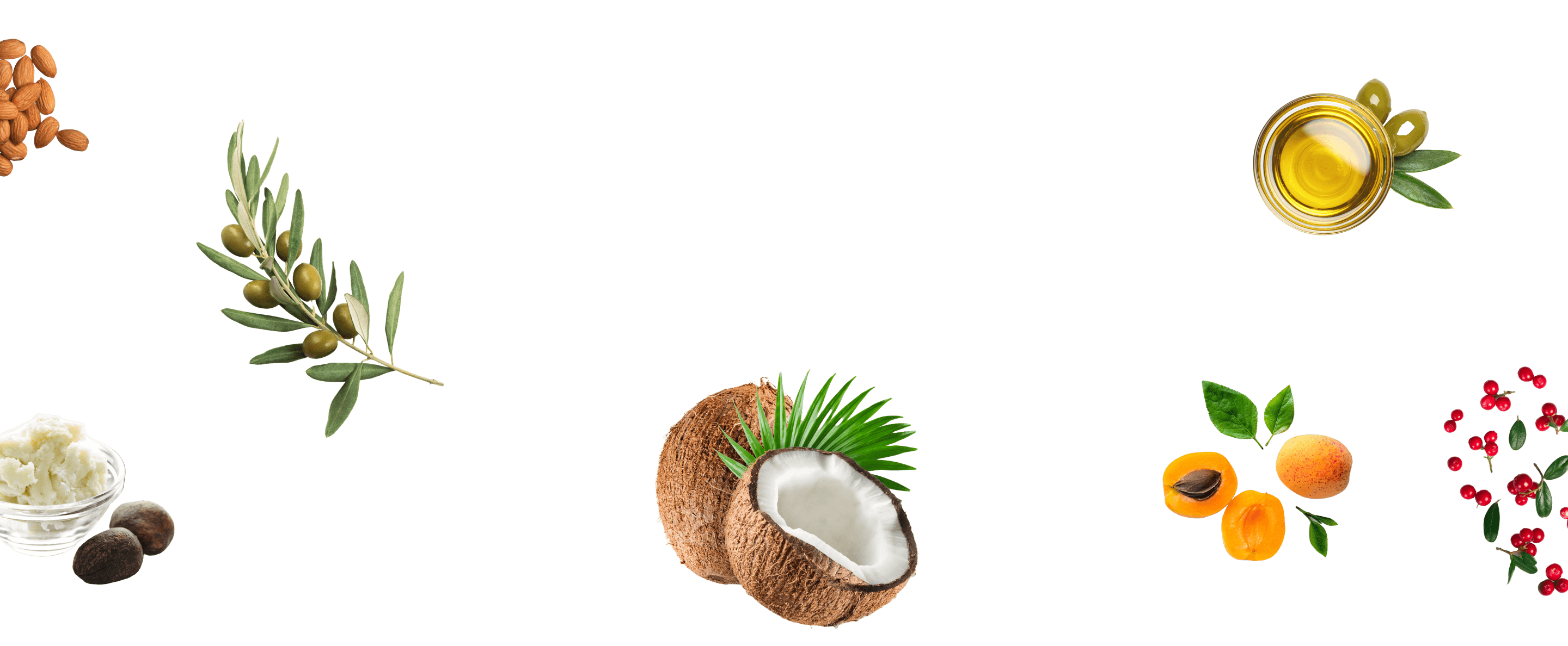 ingredients_image_banner