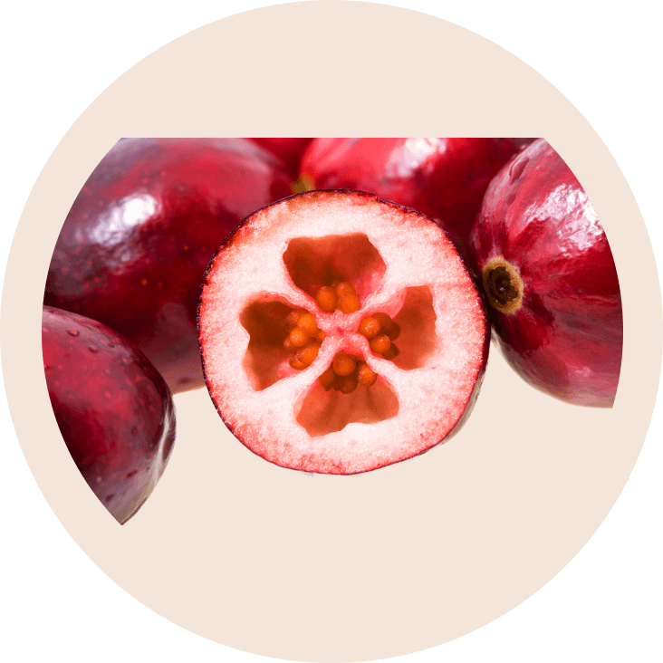 pure-ingredient-1