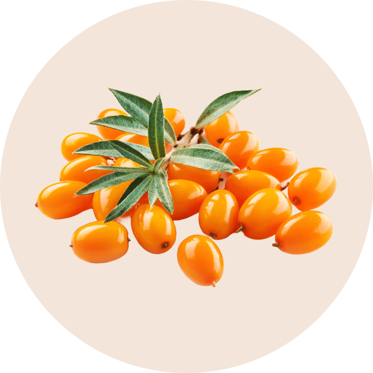 fruit