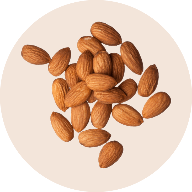 Almond