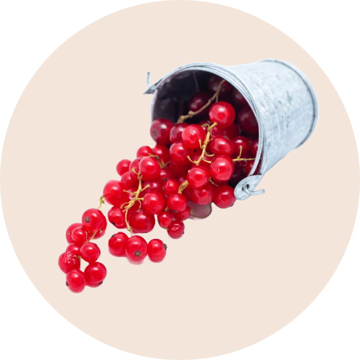 pure ingredient img2