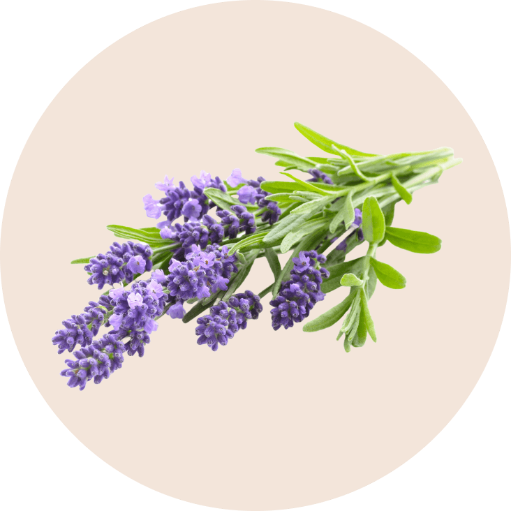 pure-ingredient-7